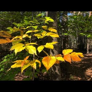 Meet your Posher, Kellie